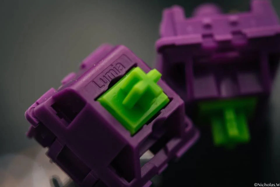 Thumb 5